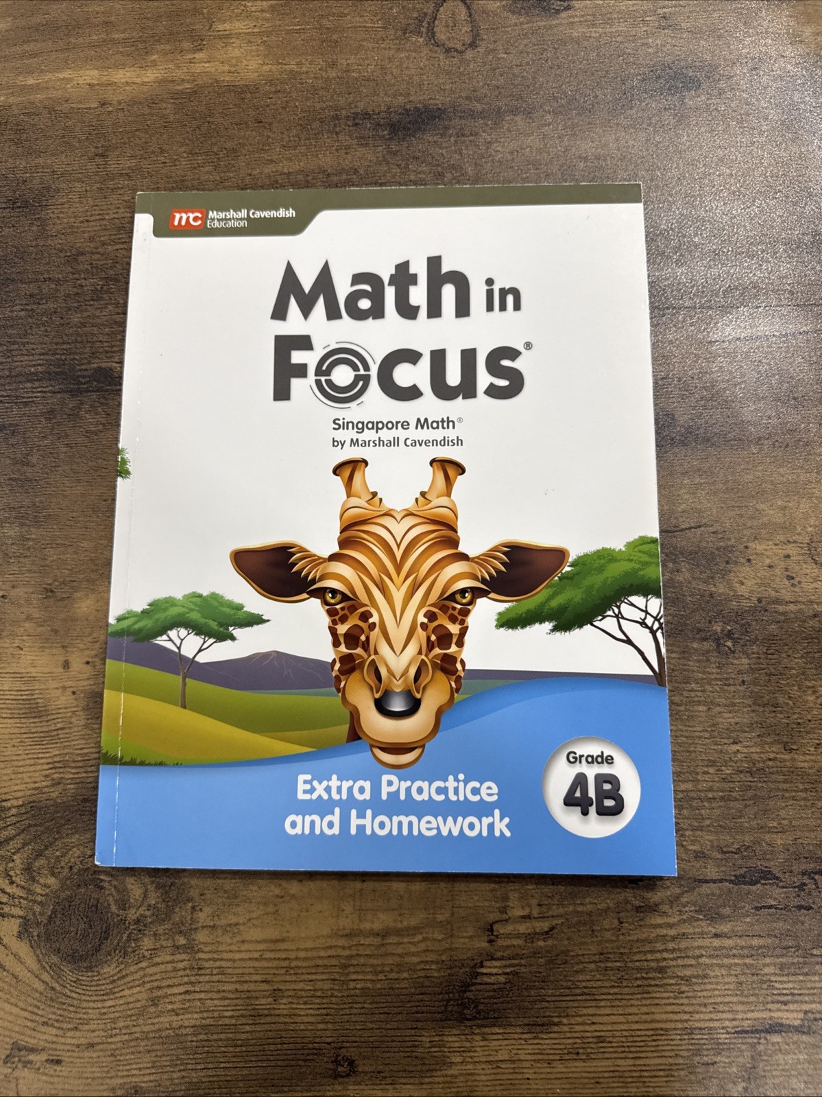 Math in Focus Ser.: Math in Focus : Extra Practice and Homework Volume B Grade 4