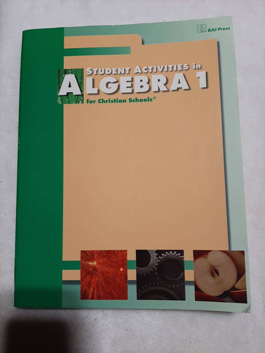 Algebra 1 Student Activities Worktext (Trade Paperback)