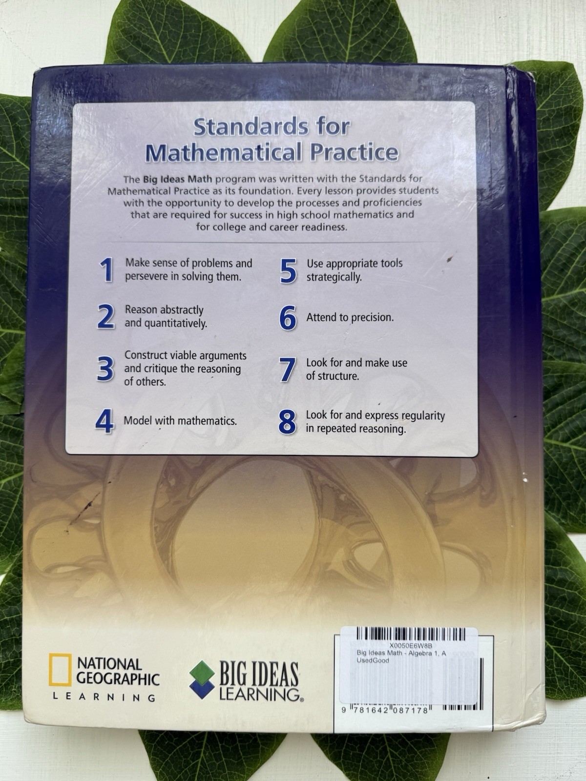 Big Ideas Math Algebra 1. A Common Core Curriculum. Used Good.