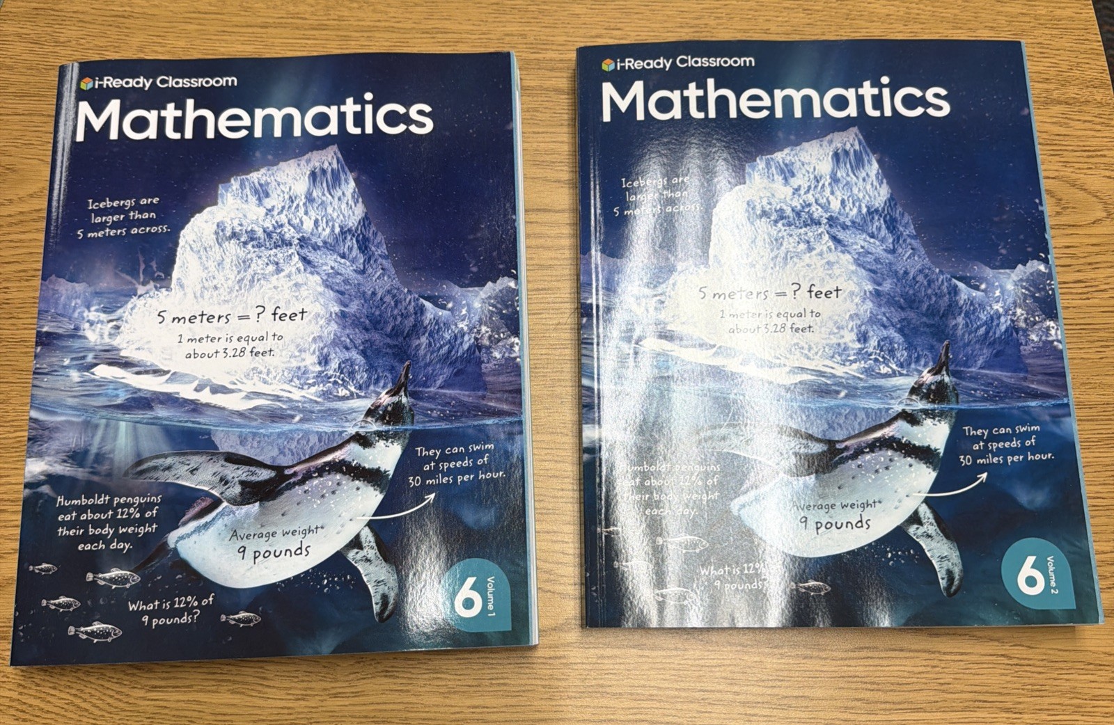 6th Grade Level Math Textbook Test Workbook I-Ready Students Volumes 1 and 2 NEW