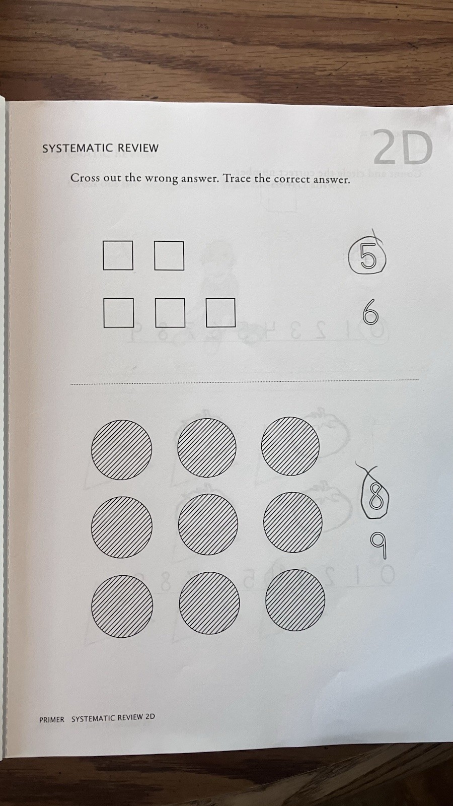 Math U See Primer Workbook