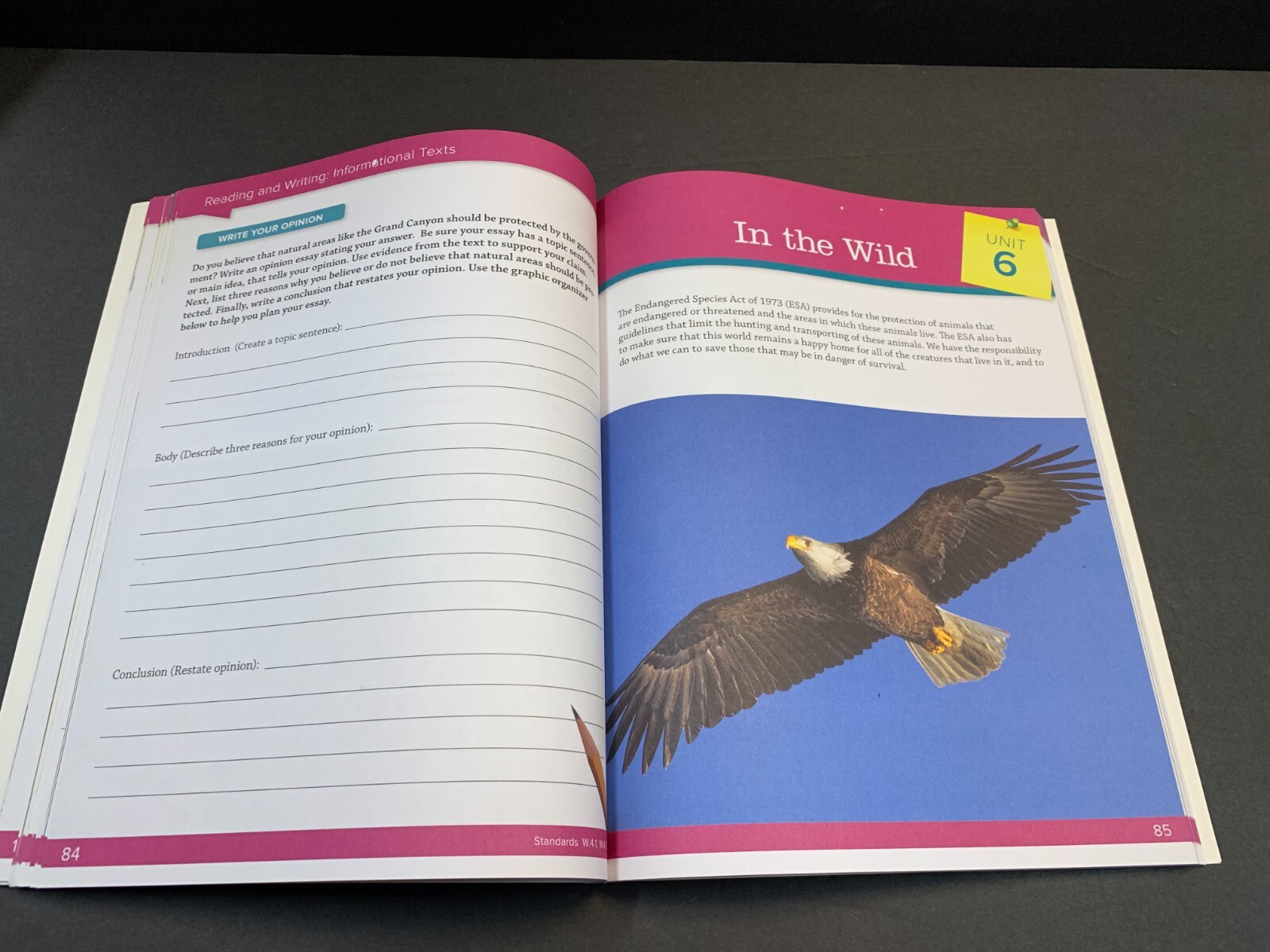 Barron’s Common Core Success Ser.: Common Core Success Grade 4 English Language