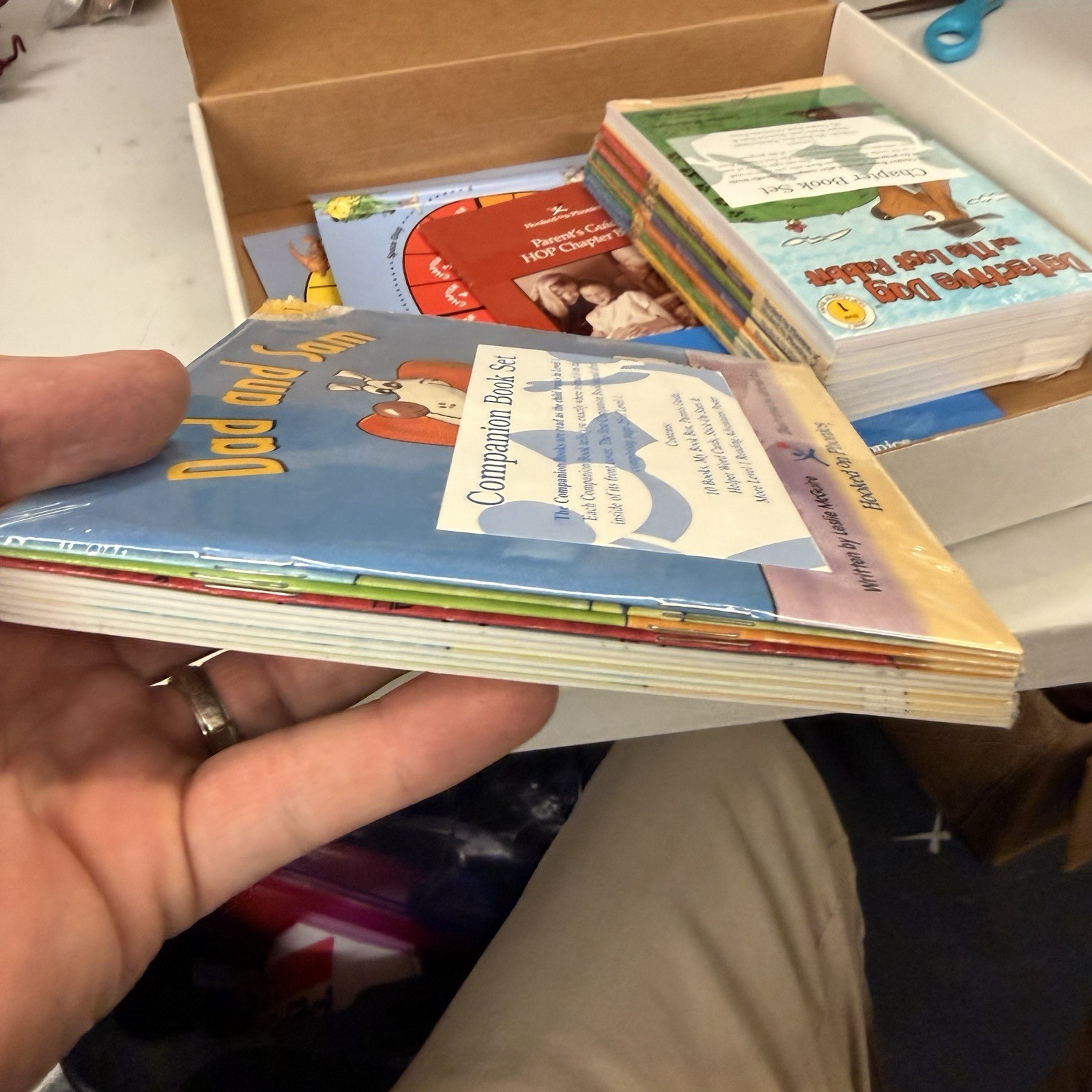 Hooked On Phonics Reading Set 10 chapter books 10 companion books Guides More!