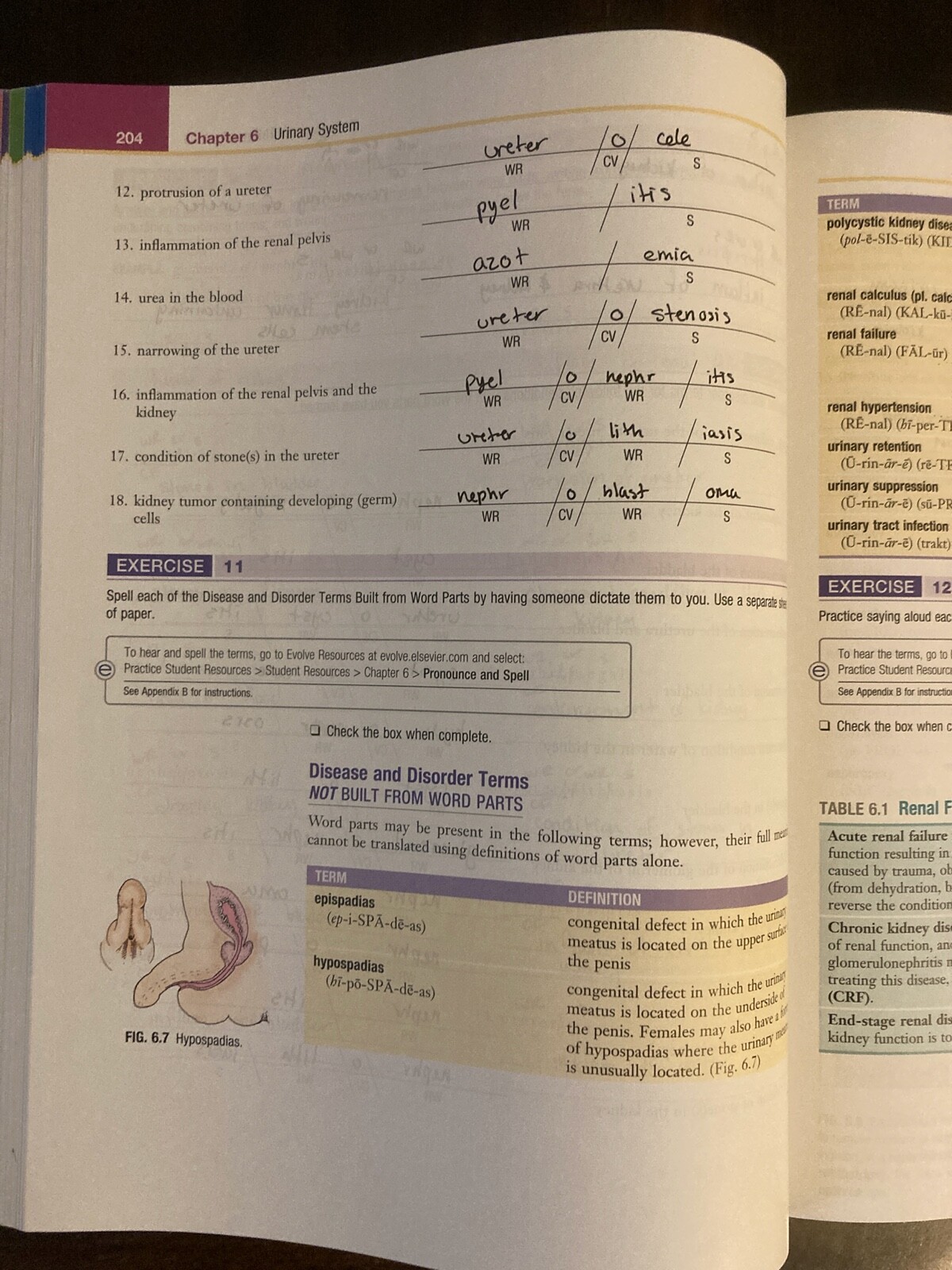 Exploring Medical Language 10th Edition – Preowned – Partially Written