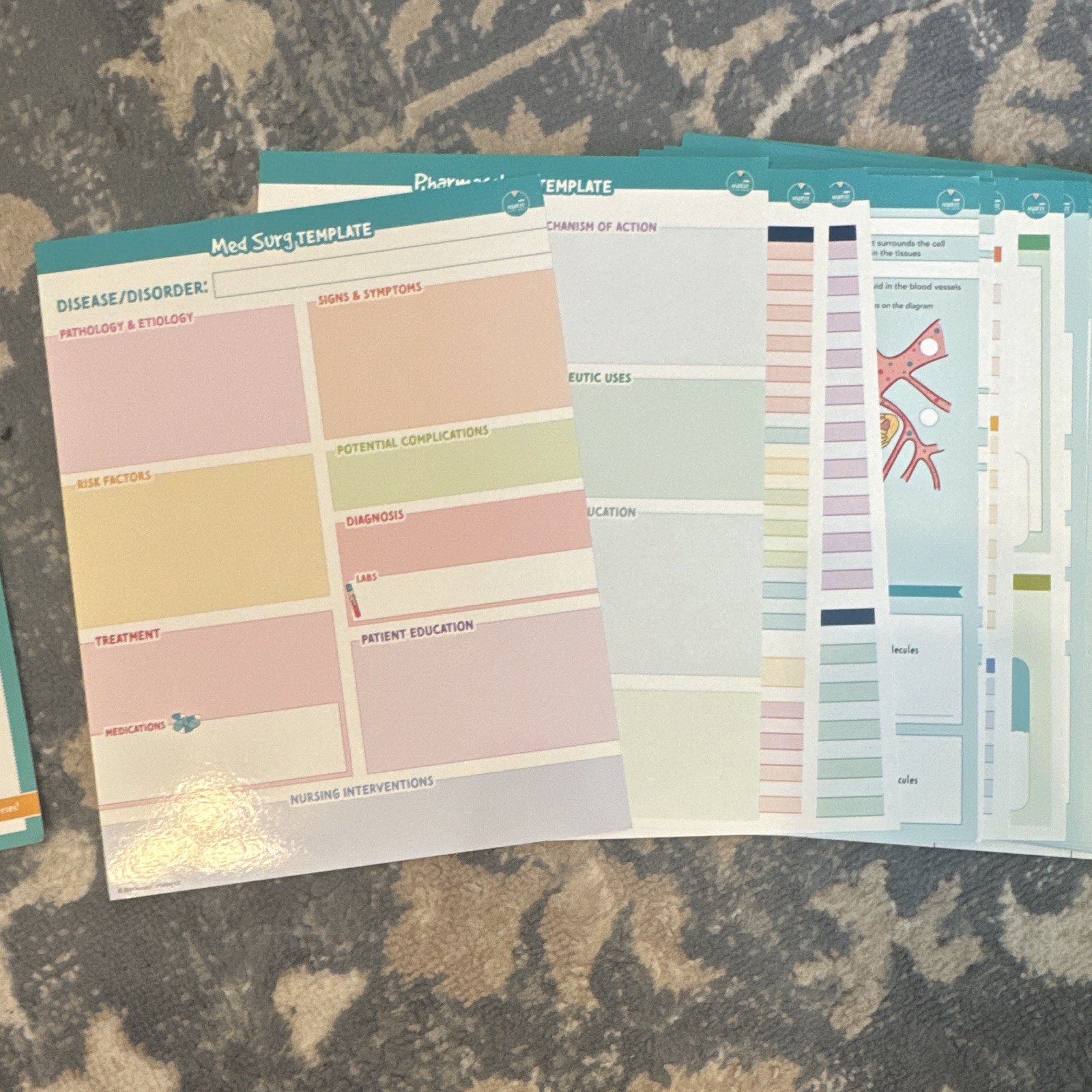 The Complete Laminated Study Templates Nursing Study Guide Laminated Sheets