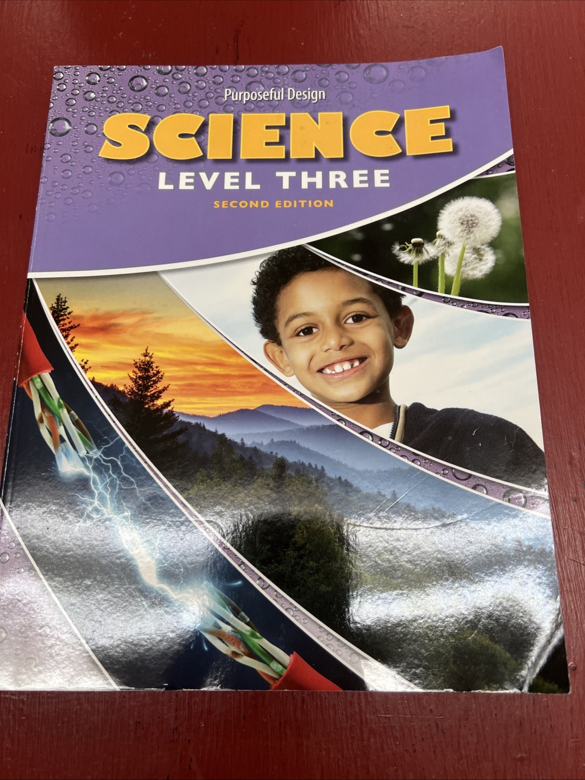 NEW Purposeful Design Science Level 3 Workbook