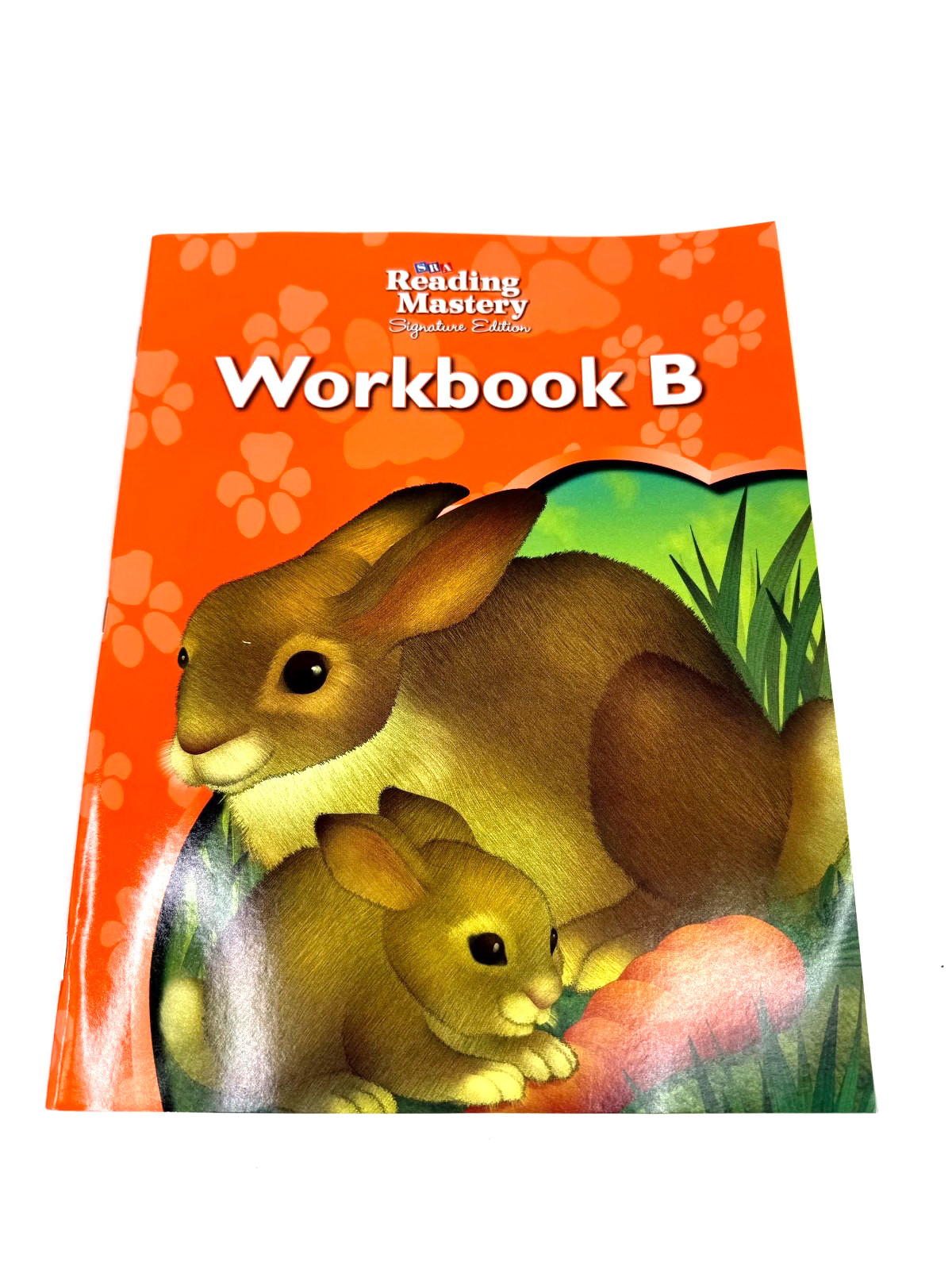 Reading Mastery Reading/Literature Strand Grade 1, Workbook B NEW!