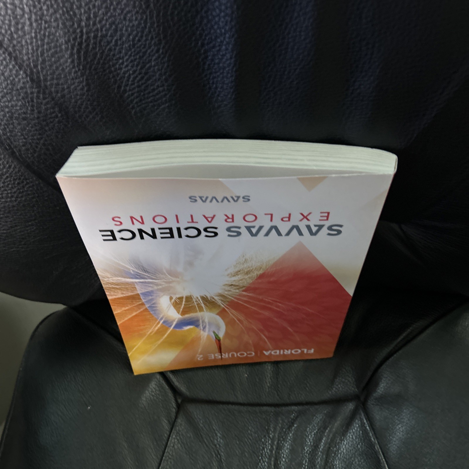 New Textbook SAVVAS SCIENCE EXPLORATIONS – FLORIDA ED 2025 SC – Grade 7 NEW
