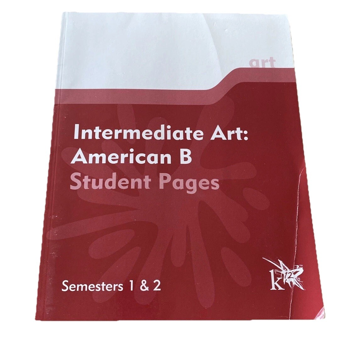 K12 Intermediate Art: American B Student Pages Semesters 1 & 2 Homeschool