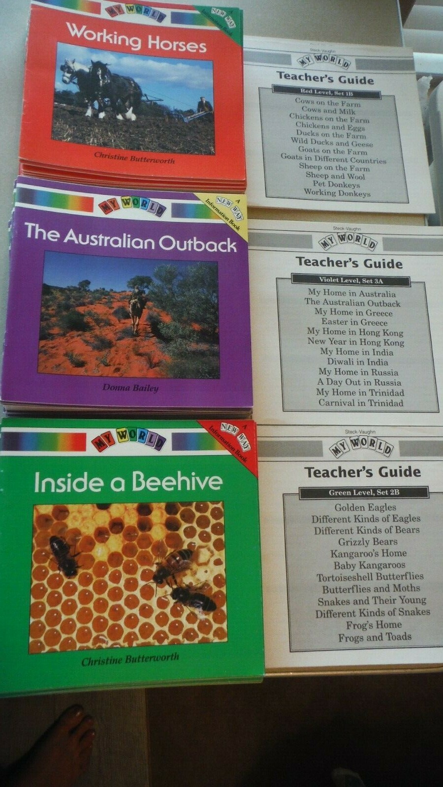 75-Steck-Vaughn My World Teacher’s Guides & Books,Grade 1-3, VGC