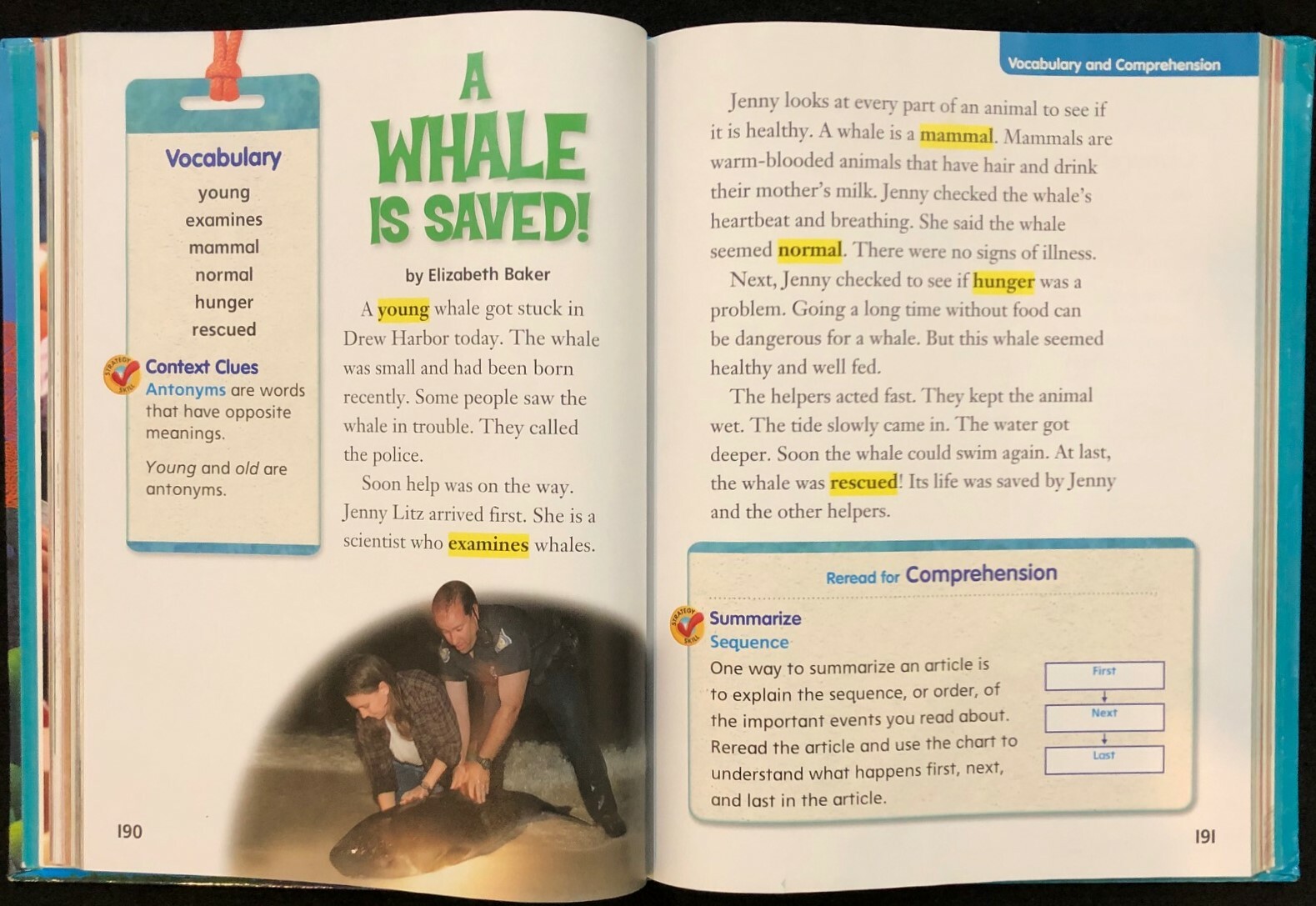 2nd Grade – TREASURES – Reading/Language Arts Curriculum, Level 2.1 (1 book)