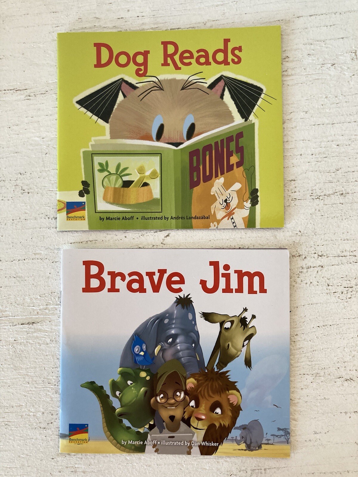 9 Leveled Texts – Text Evidence Questions + Teacher’s Guide From Grade K Unit 4
