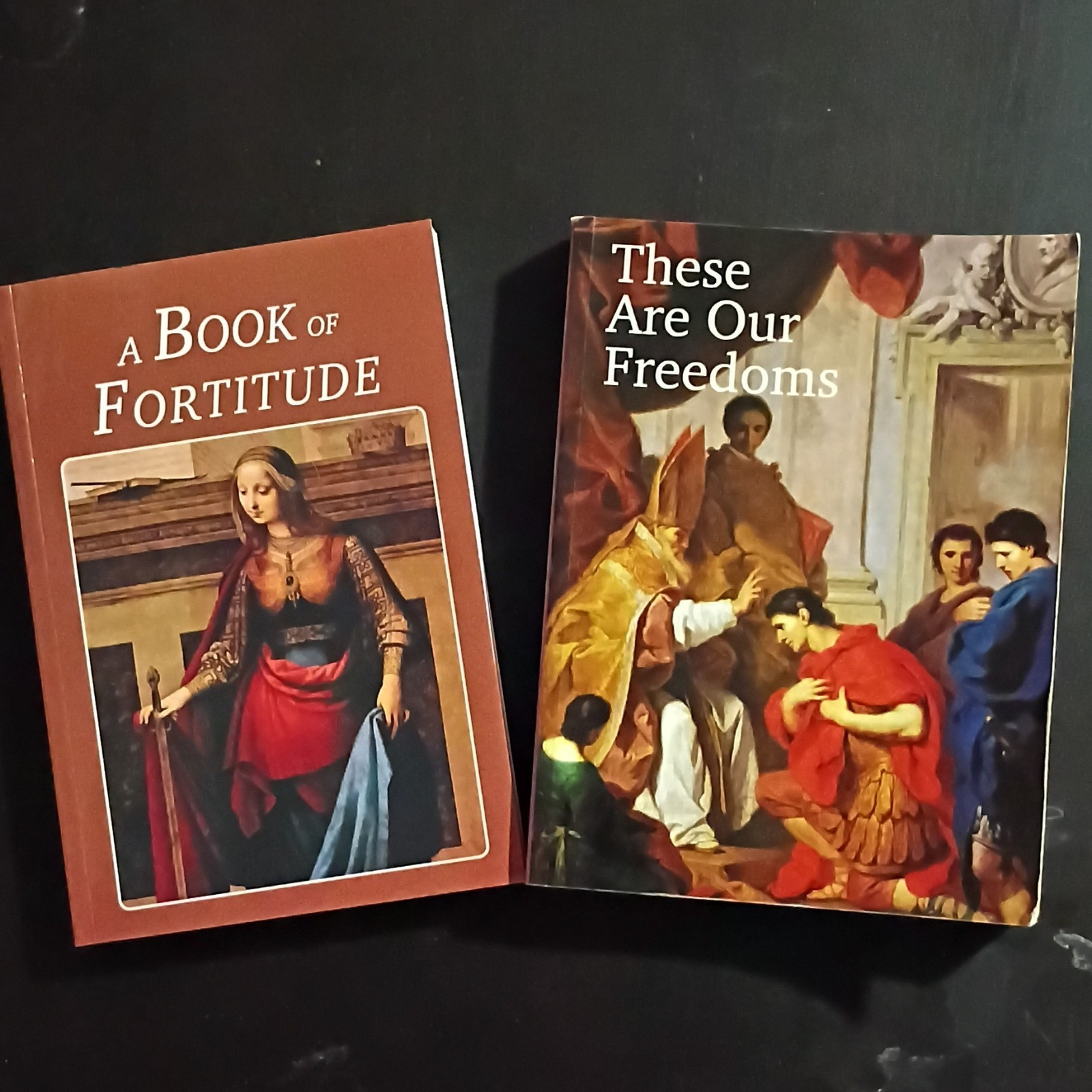 Seton Curriculum 7th Grade – These Are Our Freedoms & A Book Of Fortitude