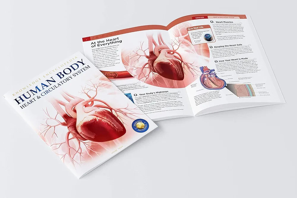 Human Body Box Set: Knowledge Encyclopedia For Children Set of 6 Book in English