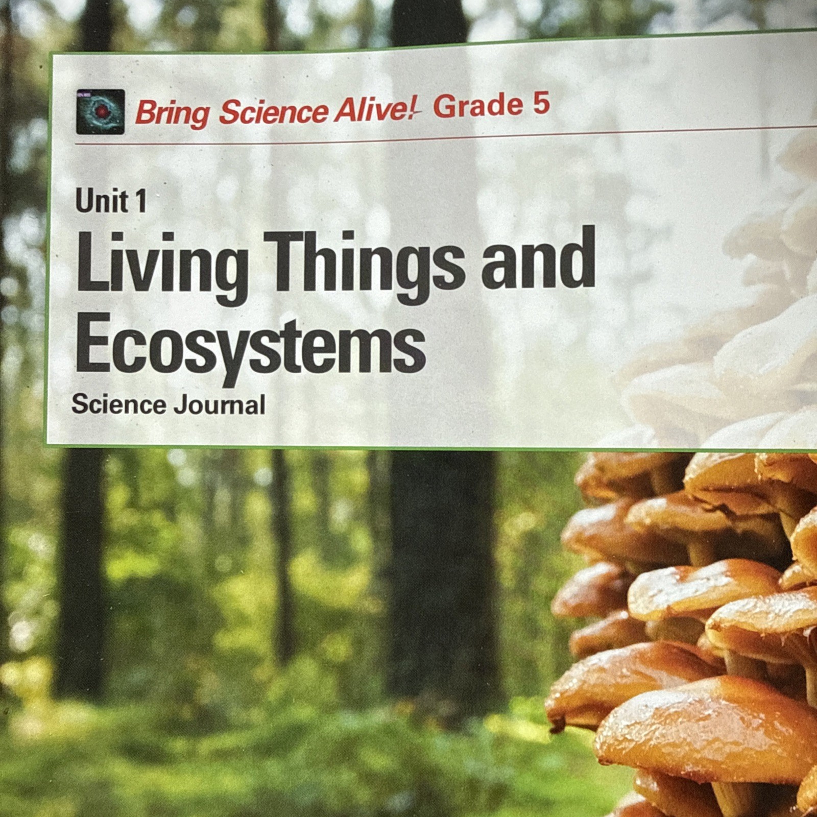 NEW! Bring Science Alive! Grade 5 Units 1-4 Science Journals Curriculum