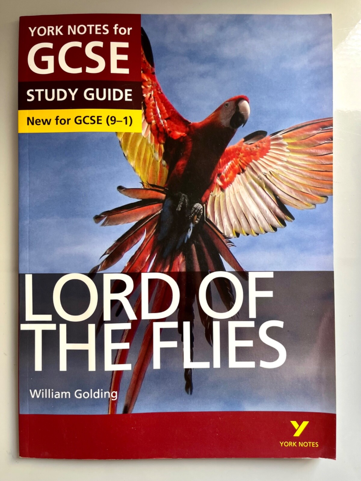 York Notes For GCSE Lord Of The Flies (9-1 grades) William Golding