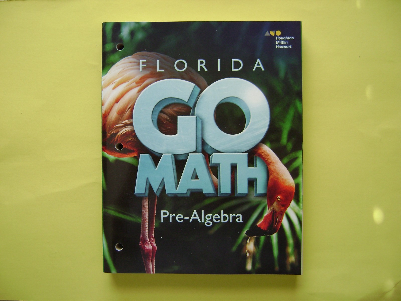 Go Math! Florida Pre-Algebra @2015