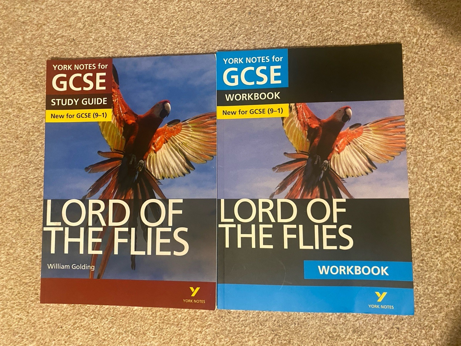 Lord of the Flies: GCSE English Literature Study Guide and infilled Work Book