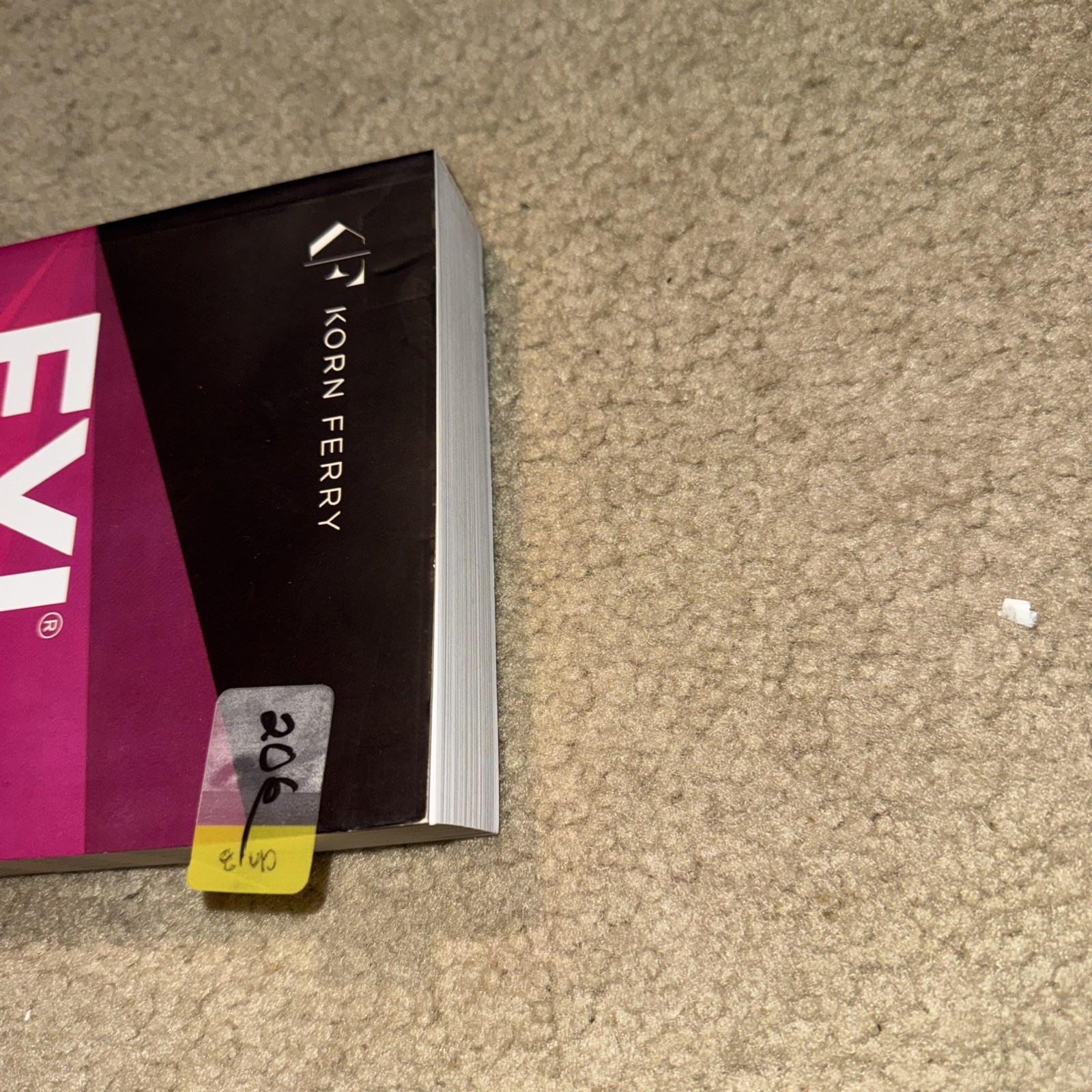 FYI For Your Improvement Competencies Development Guide Korn Ferry Paperback