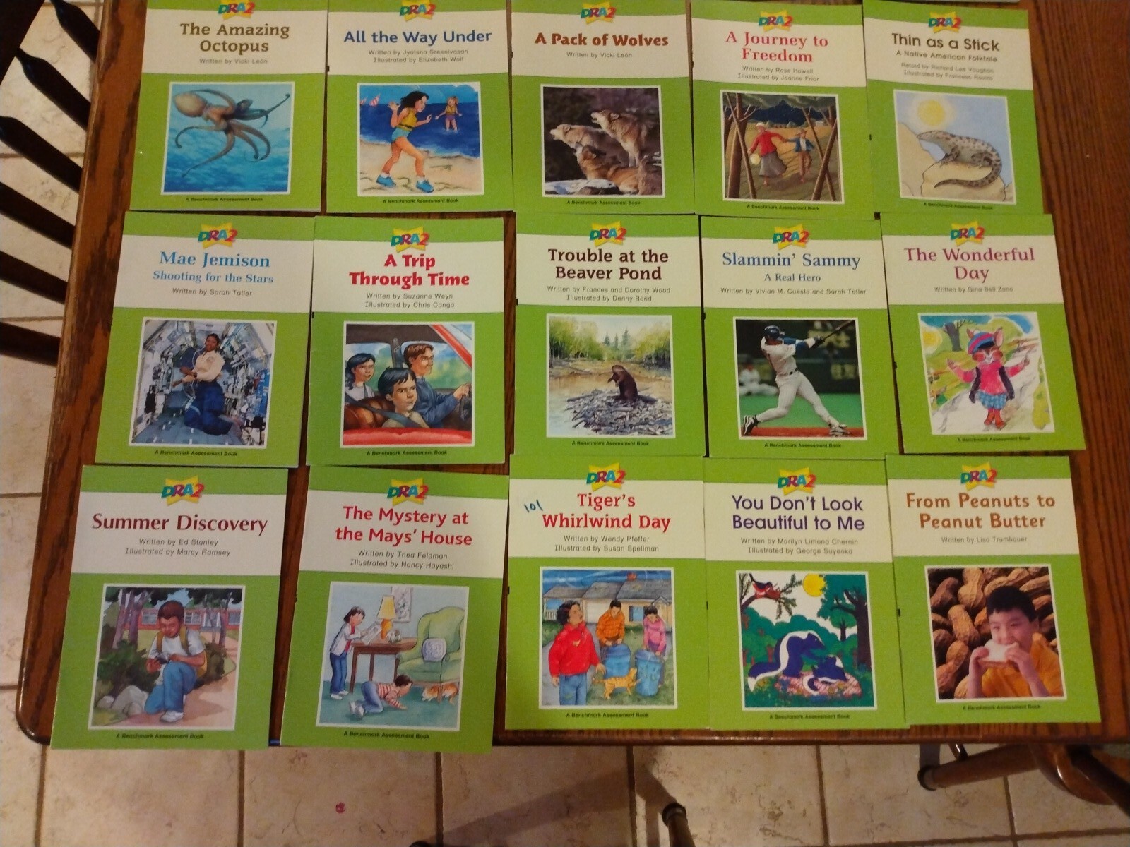 DRA2 Developmental Reading Assessment K-3 18-40* Grades 2-4 / Lot of 57 books