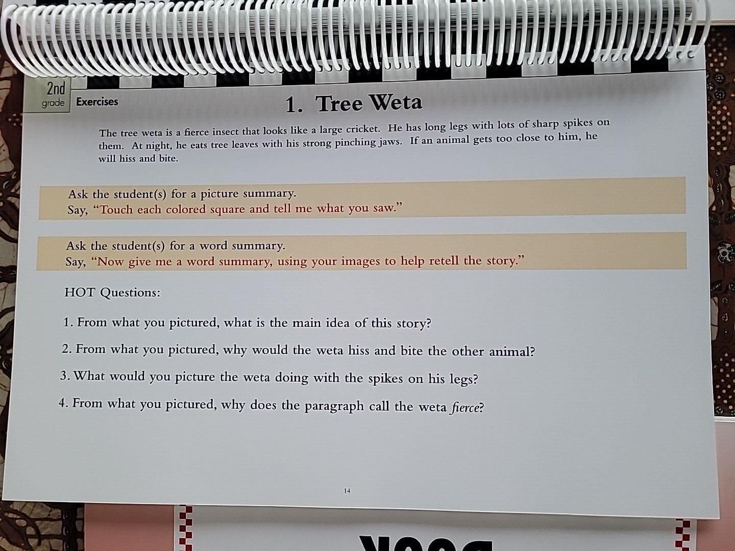 Visualizing and Verbalizing 4 Sentence by Sentence Stories Easel Book Nanci Bell