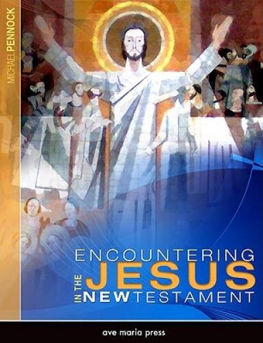 Encountering Jesus in the New Testament – Paperback – ACCEPTABLE