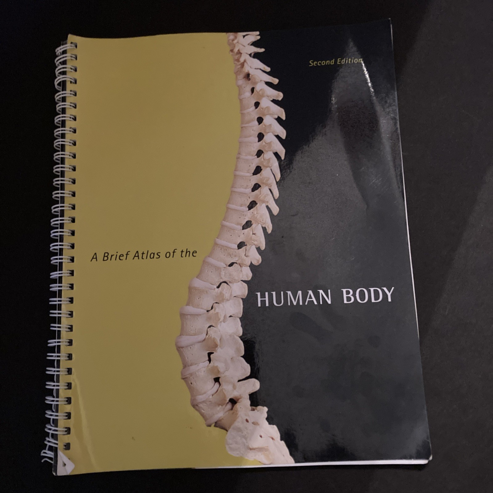 A Brief Atlas of the Human Body 2nd Edition Learning Tool Matt Hutchinson Spiral