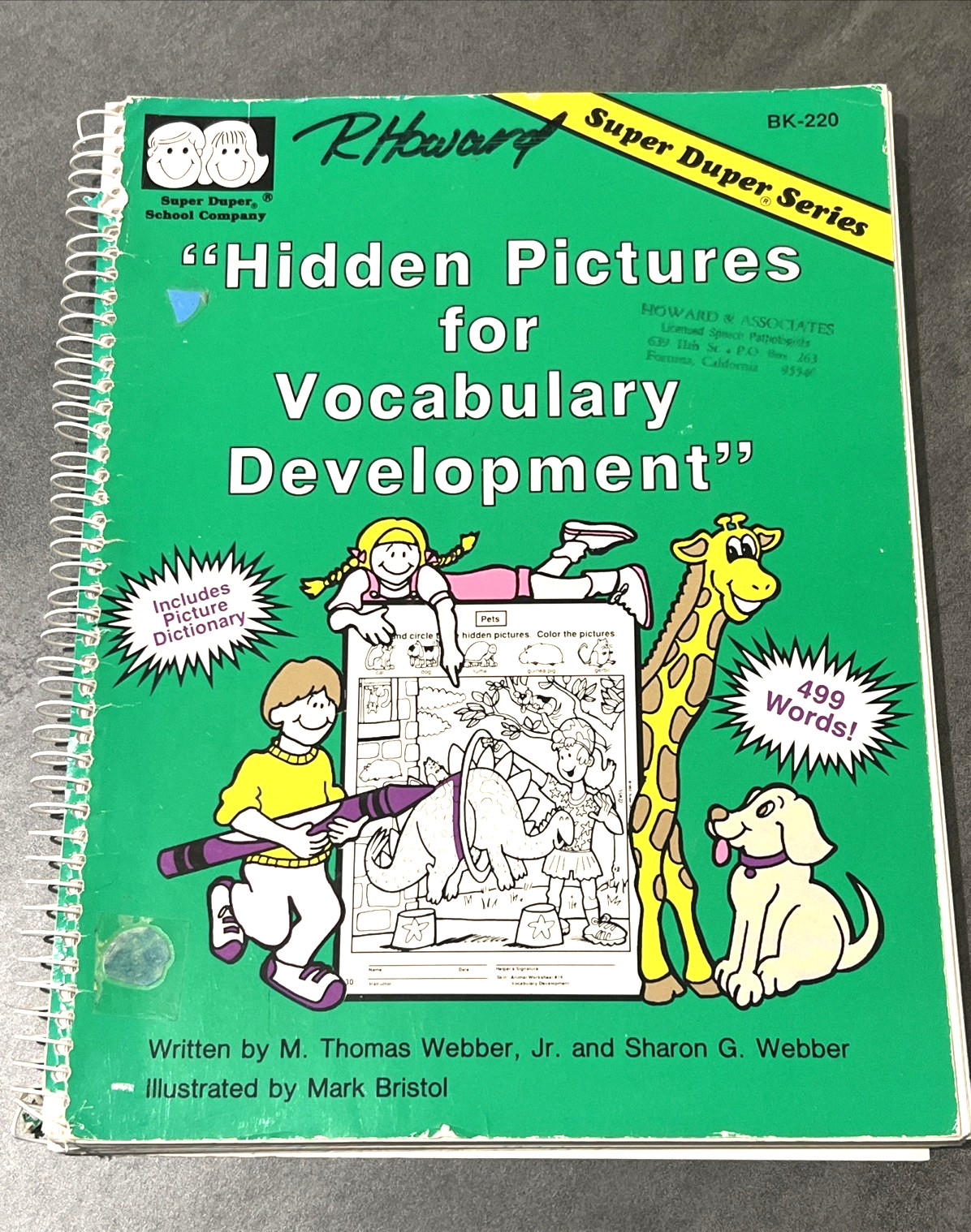 Hidden Pictures for Vocabulary Development by Thomas & Sharon Webber