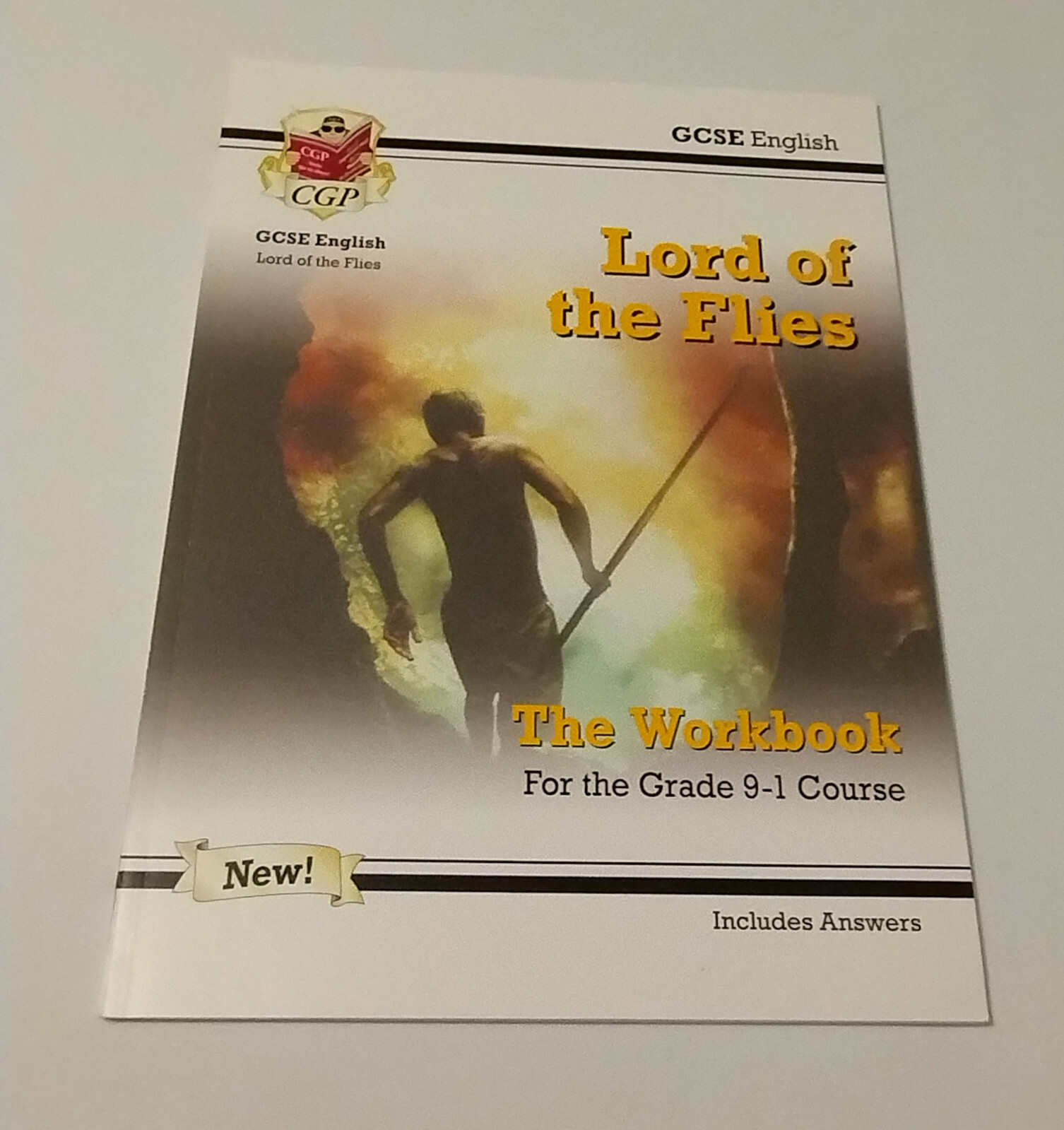 GCSE English Lord of the Flies – CGP – Workbook – Used Very Good Condition