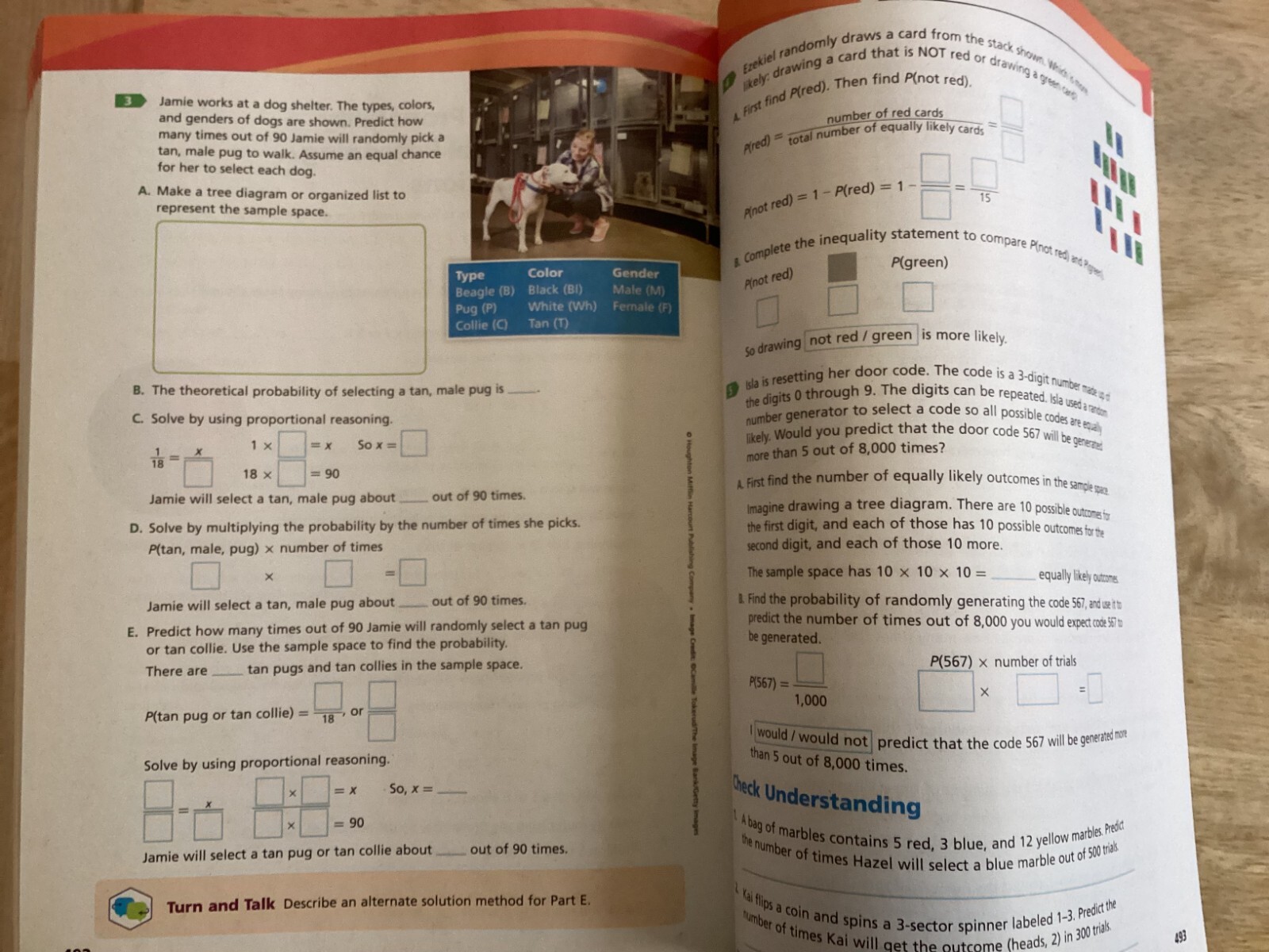 HMH into Math Grade 7 workbook (new)