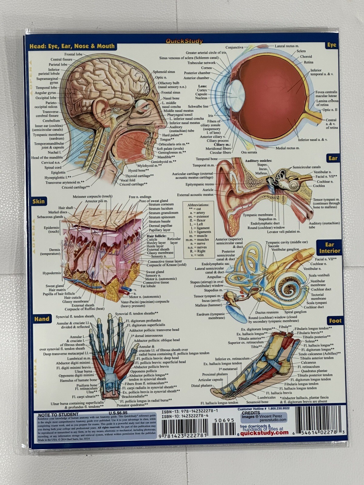 QuickStudy Bar Chart: Bar Charts Anatomy Study Guide Med/Health