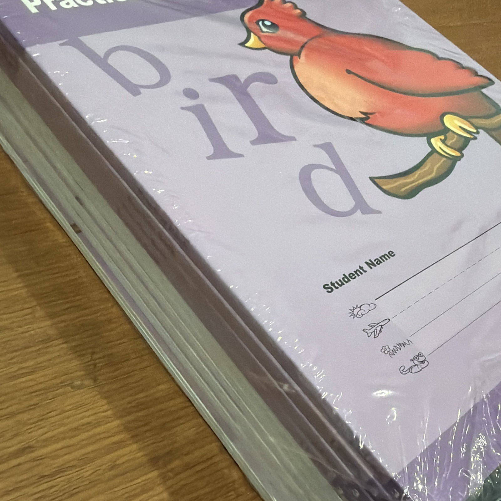 Wilson Language Fundations Practice Book Level 3 (10 Pack) F2DSTW3 UNUSED