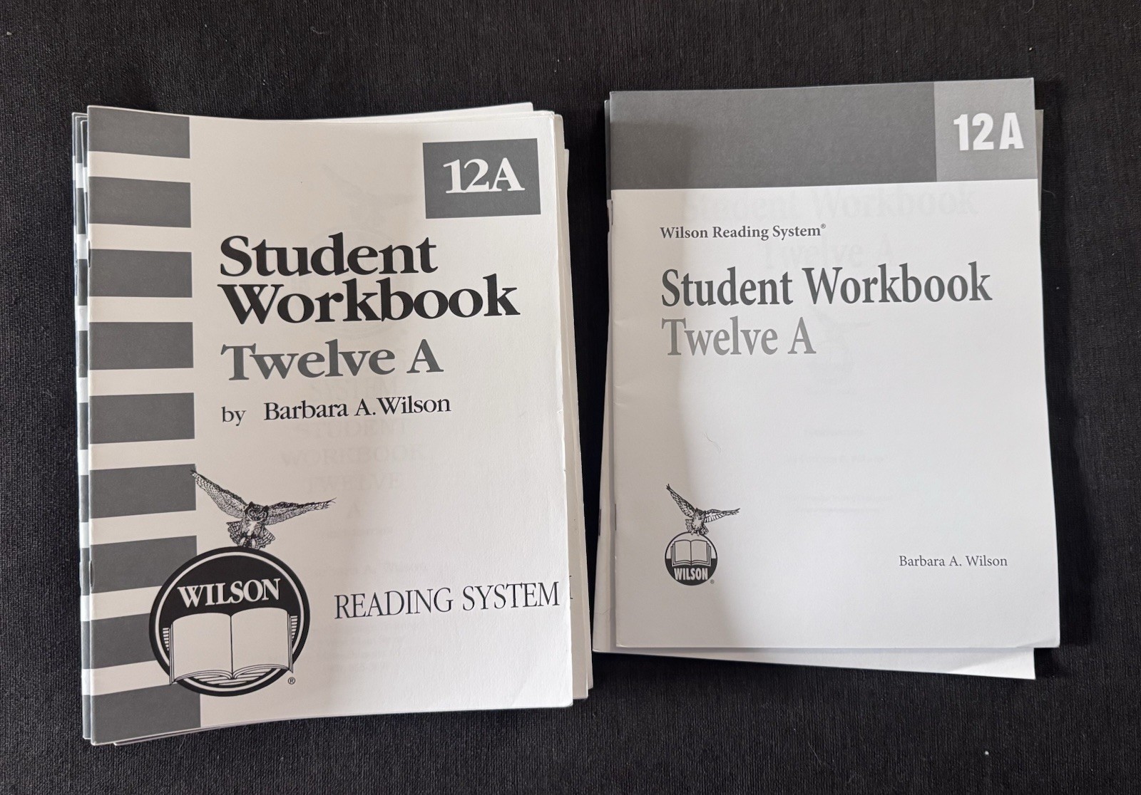 Wilson Reading System Student Workbook 11A — Lot of 10 (New/Unused)