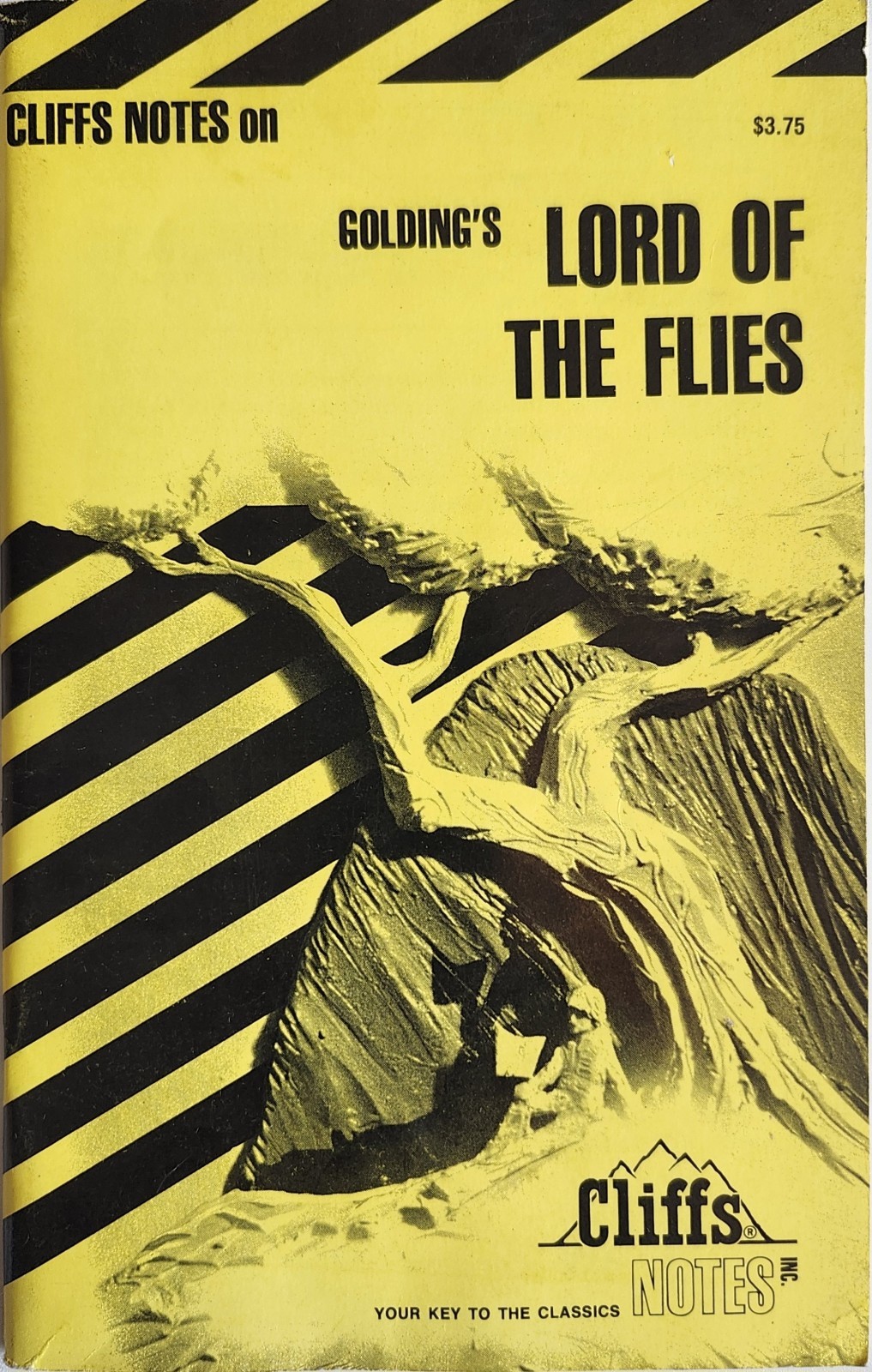 CliffsNotes Lord of the Flies William Golding Study Guide 1989 Vintage