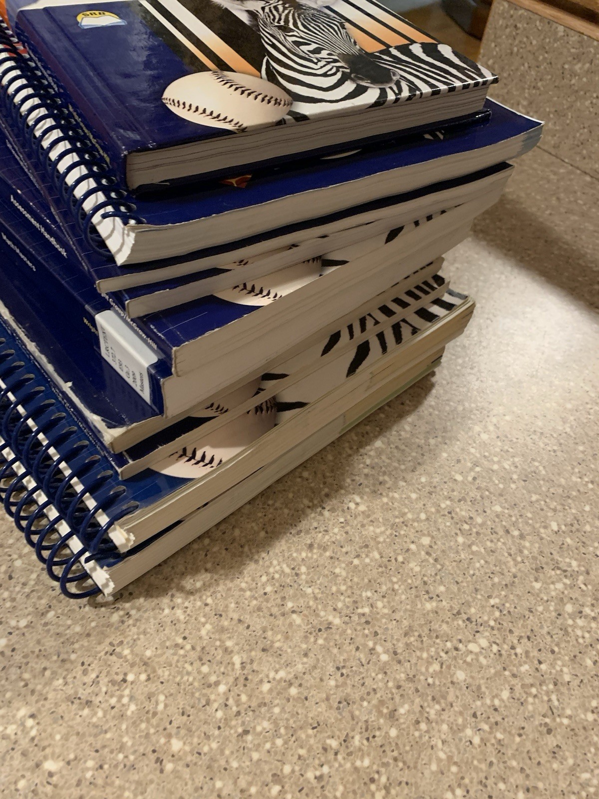 McGraw Hill Everyday Mathematics – Grade 3 Huge Lot – Student / Teacher’s 2009