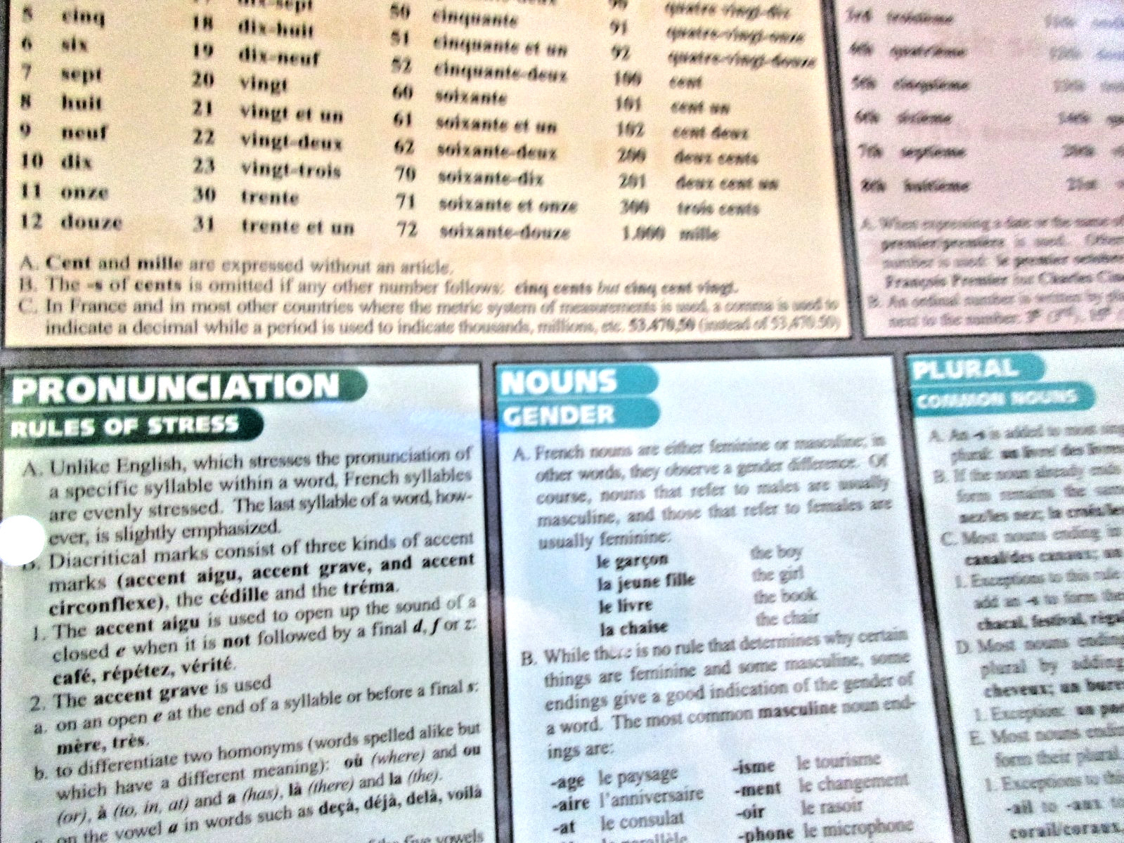 Quick Study – French Grammar – Laminated Trifold & 3 Hole Punched