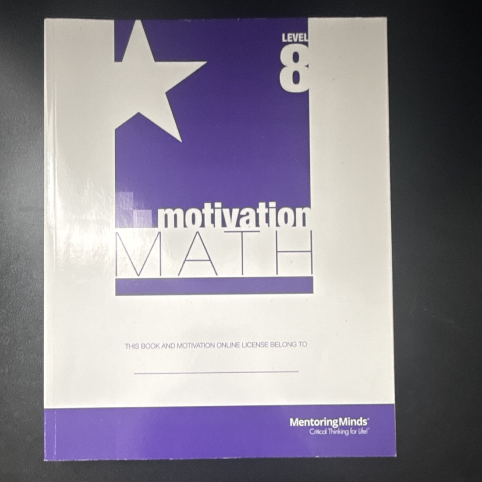 Mentoring Minds Motivation Math Level 8 Workbook Mathematics Middle School