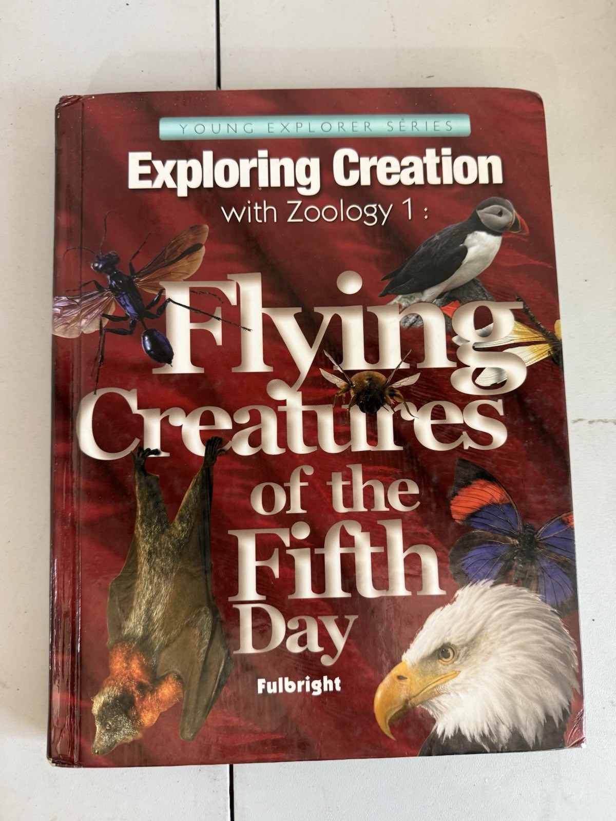 Apologia Exploring Creation with Zoology 1: Flying Creatures of the Fifth Day