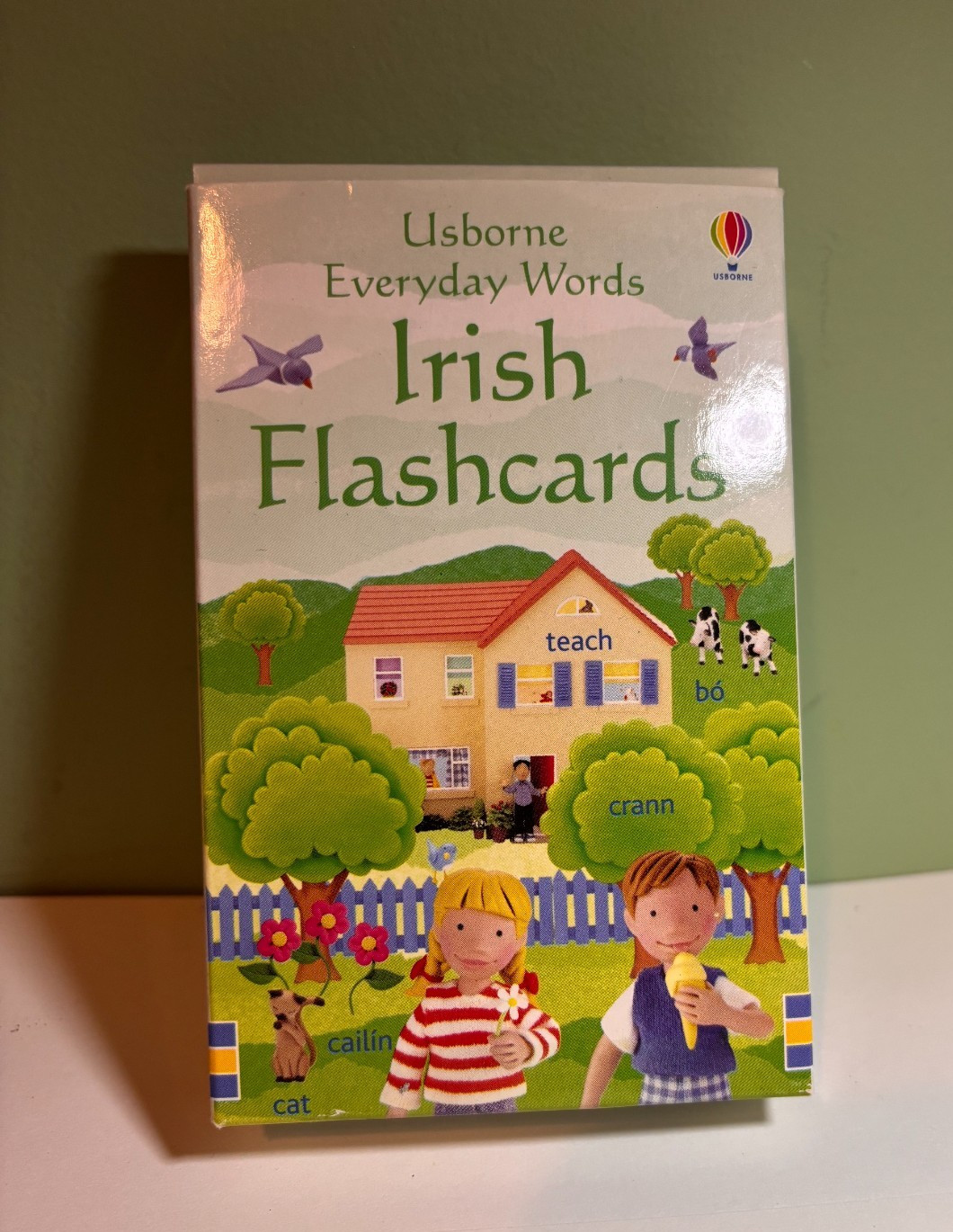 Usborne Irish Flashcards: Irish Gaeilge Everyday Words