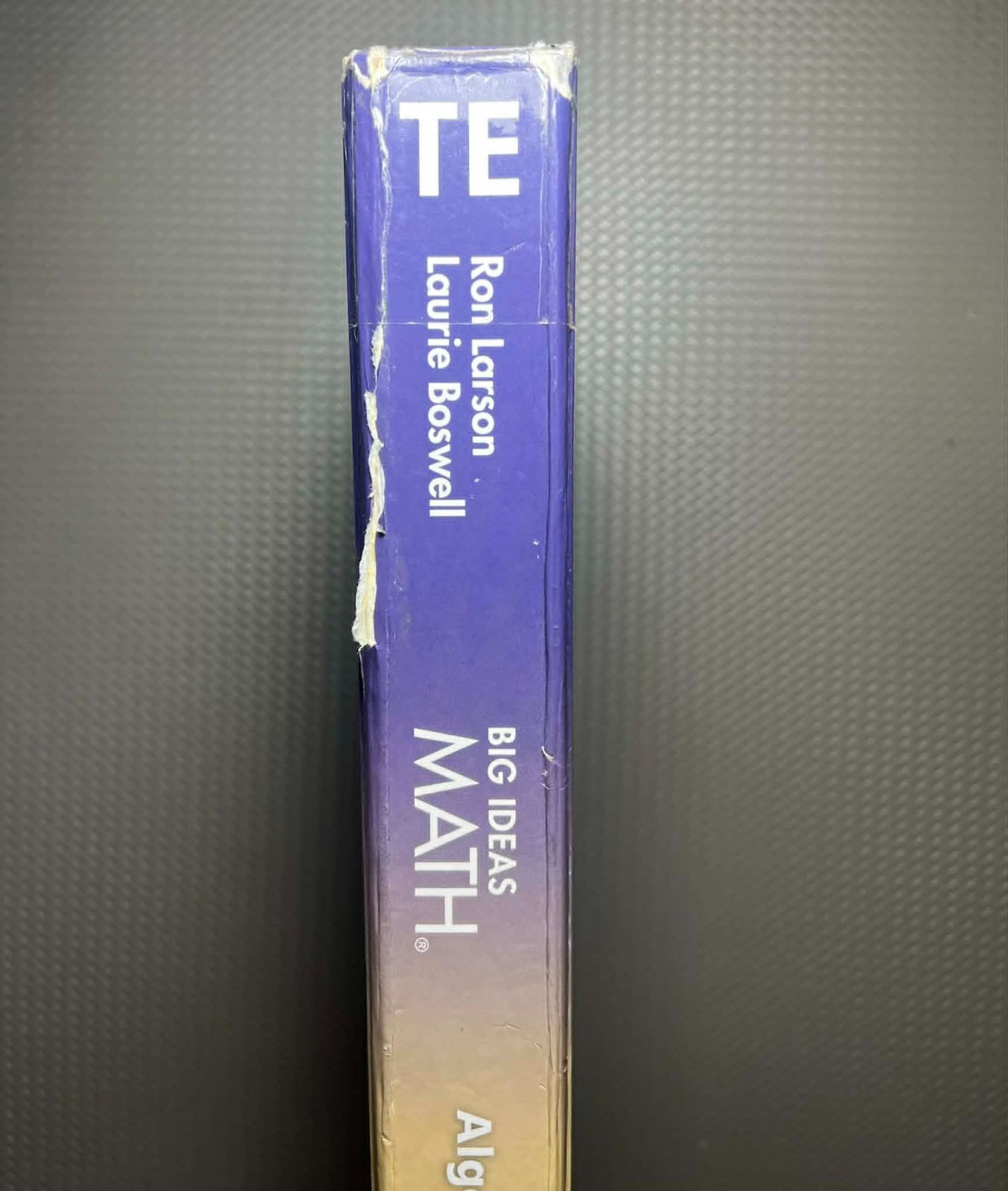 Big Ideas Math Algebra 1 Teaching Edition Textbook with resources by chapter