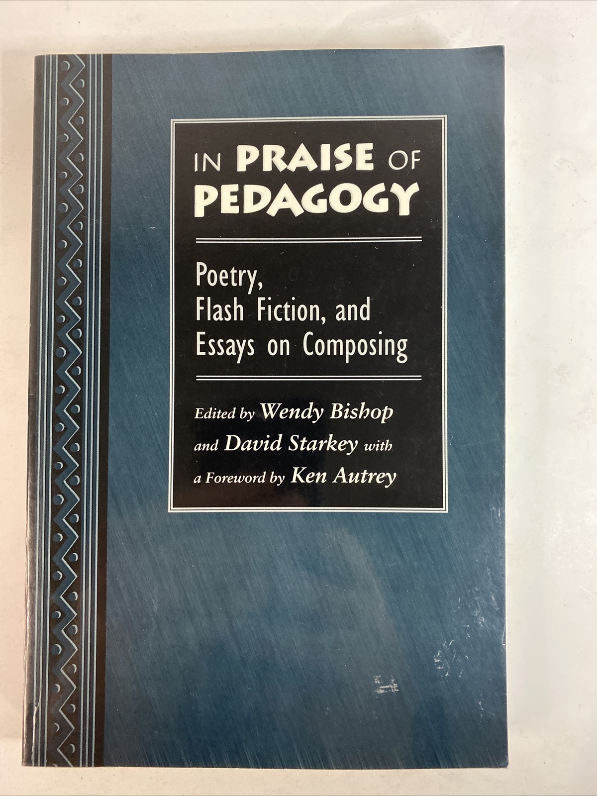 In Praise of Pedagogy : Poetry, Flash Fiction, and Essays on Composing by Wendy