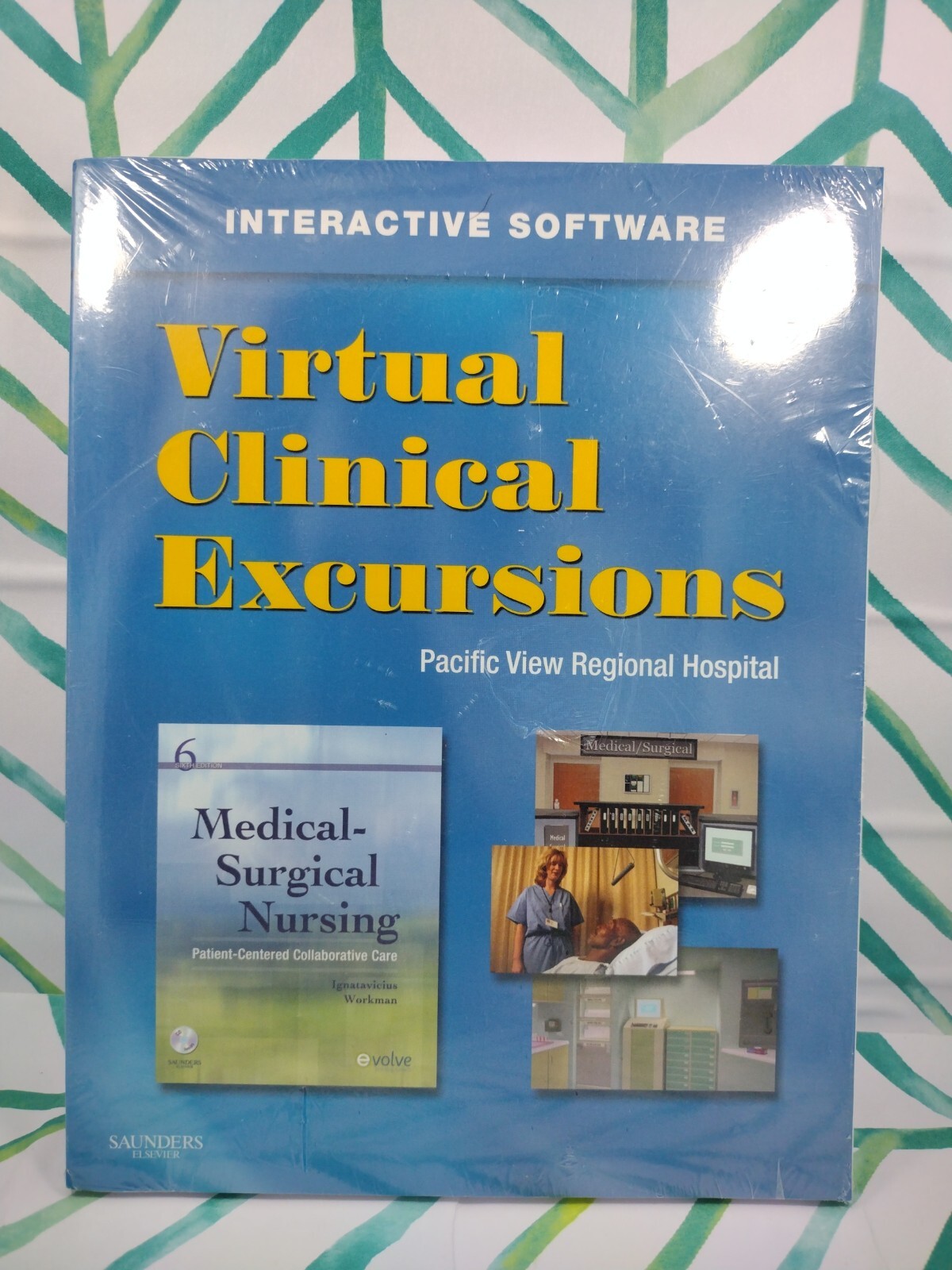 Virtual Clinical Excursion Brand New Pacific View Regional Hospital