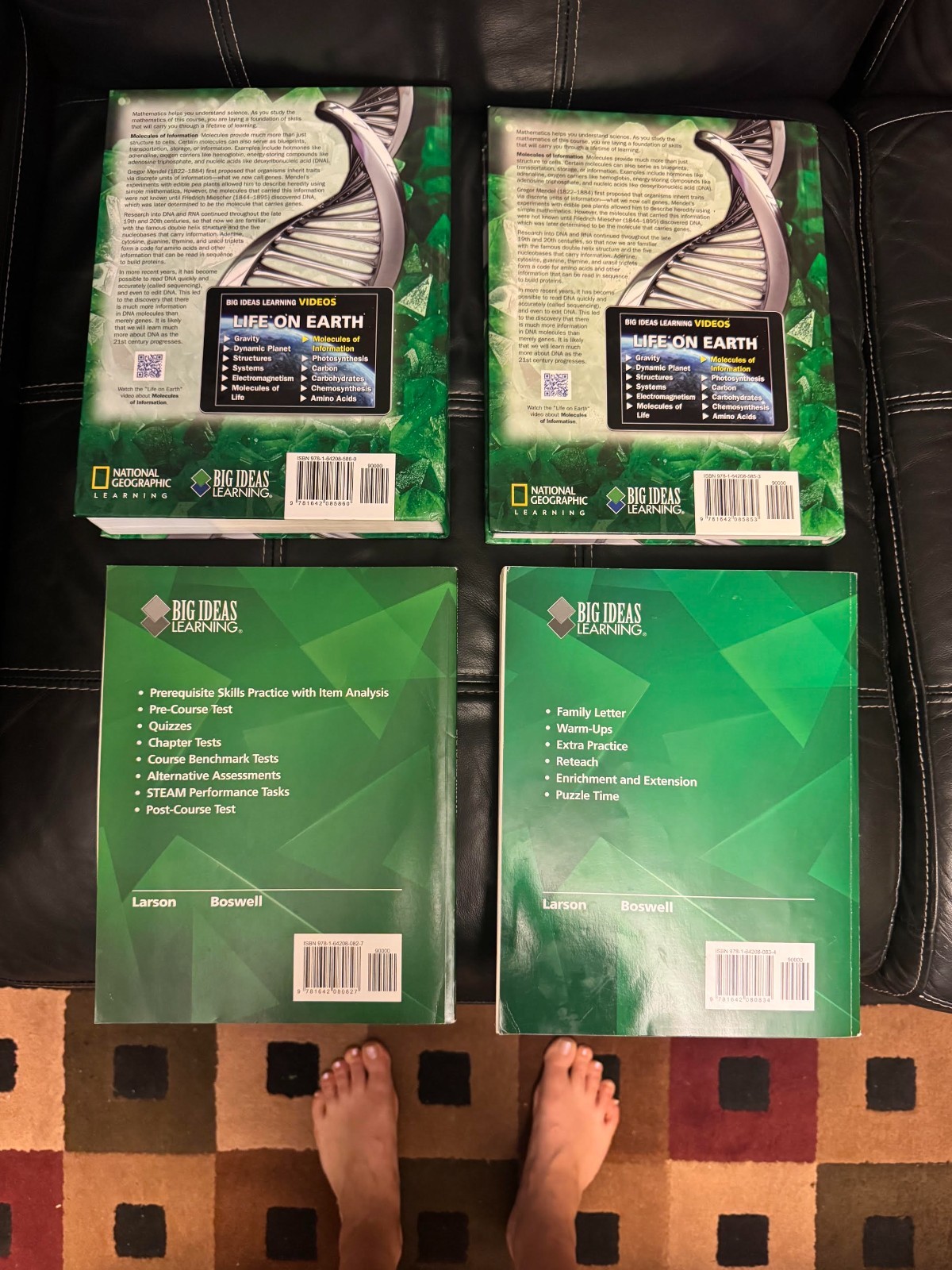 Big Ideas Math 6 grade Teaching Edition + textbook + Assessment Book + Resources