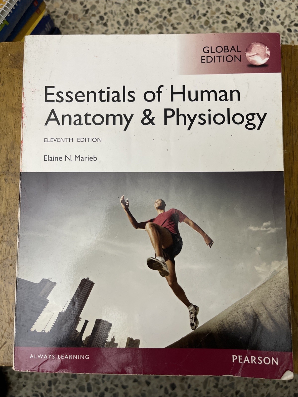 Essentials of Human Anatomy & Physiology, Global Edition by Marieb, Elaine N.