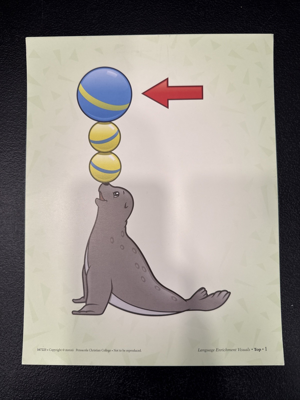 Abeka Language Enrichment Visuals- K4 & K5 Preschool & Kindergarten Flashcards