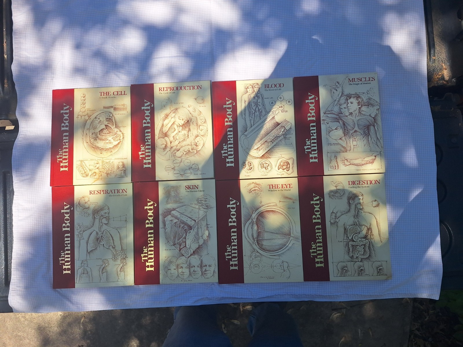 Vintage 1980s The Human Body Book Lot 8 Torstar Books Hardcover