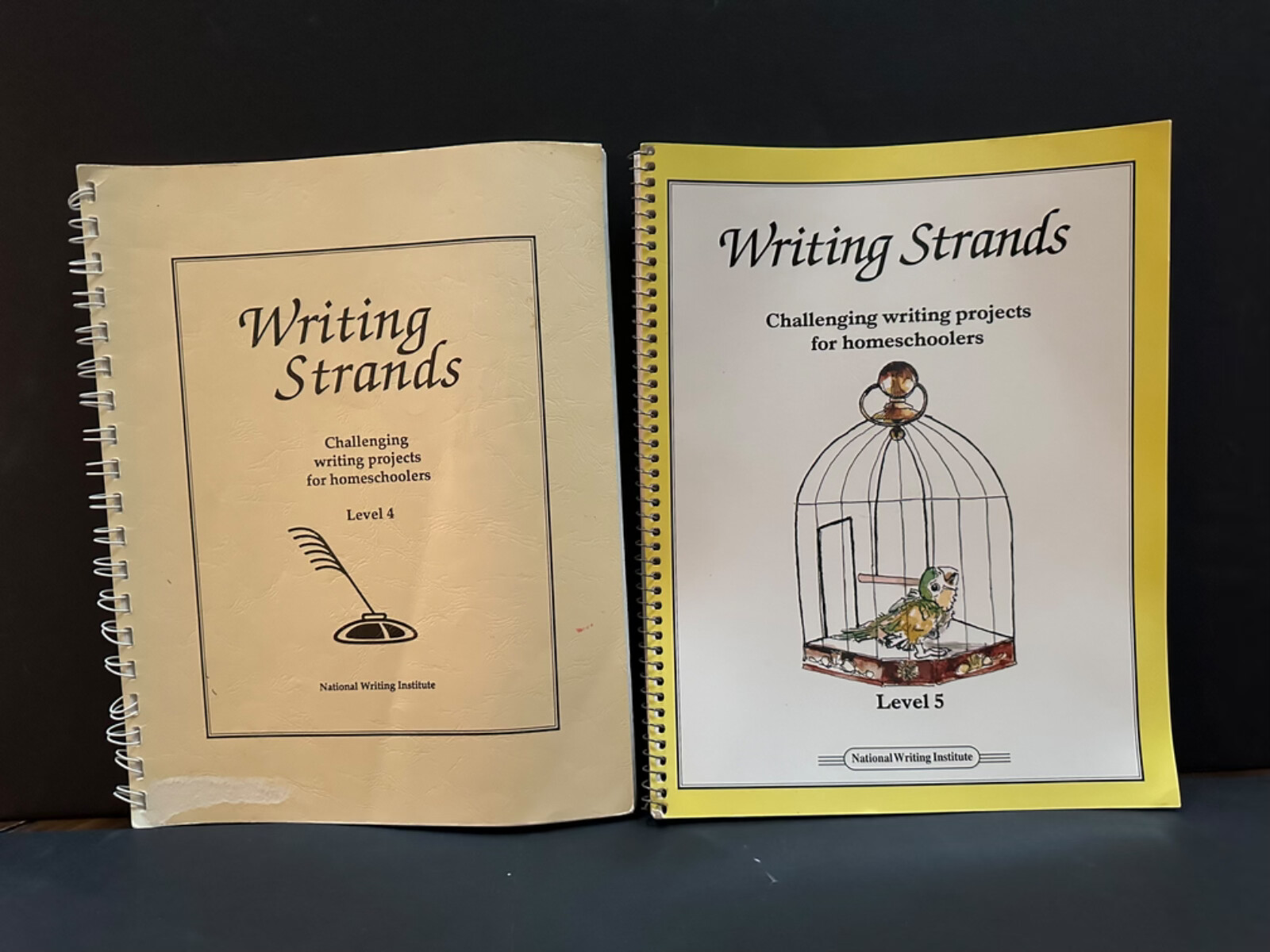 Writing Strands Set Challenging writing Level 4 & 5 vintage 1990’s