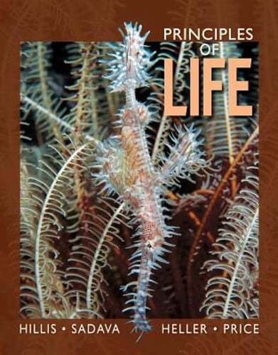 Principles of Life High School Edition by David M Hillis: Used