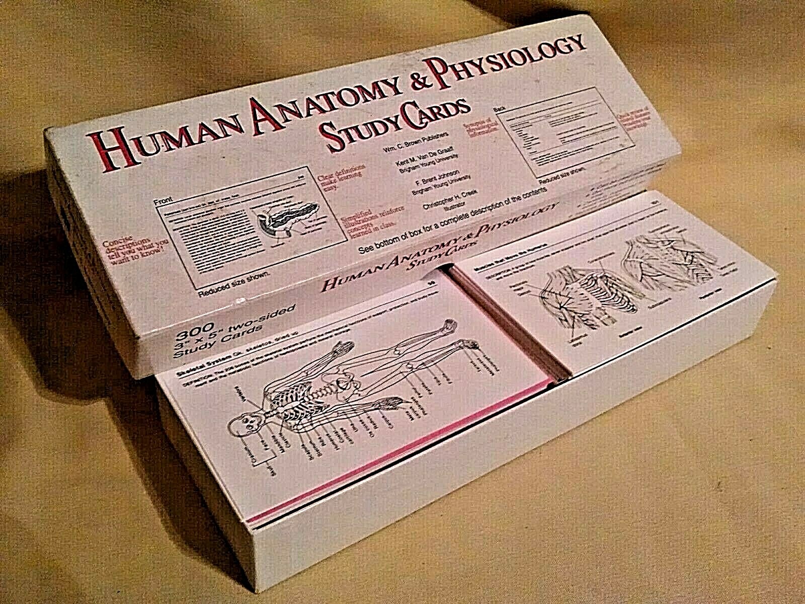 HUMAN ANATOMY STUDY CARDS PHYSIOLOGY WM C BROWN PUBLISHERS 3X5 2 SIDED USED*