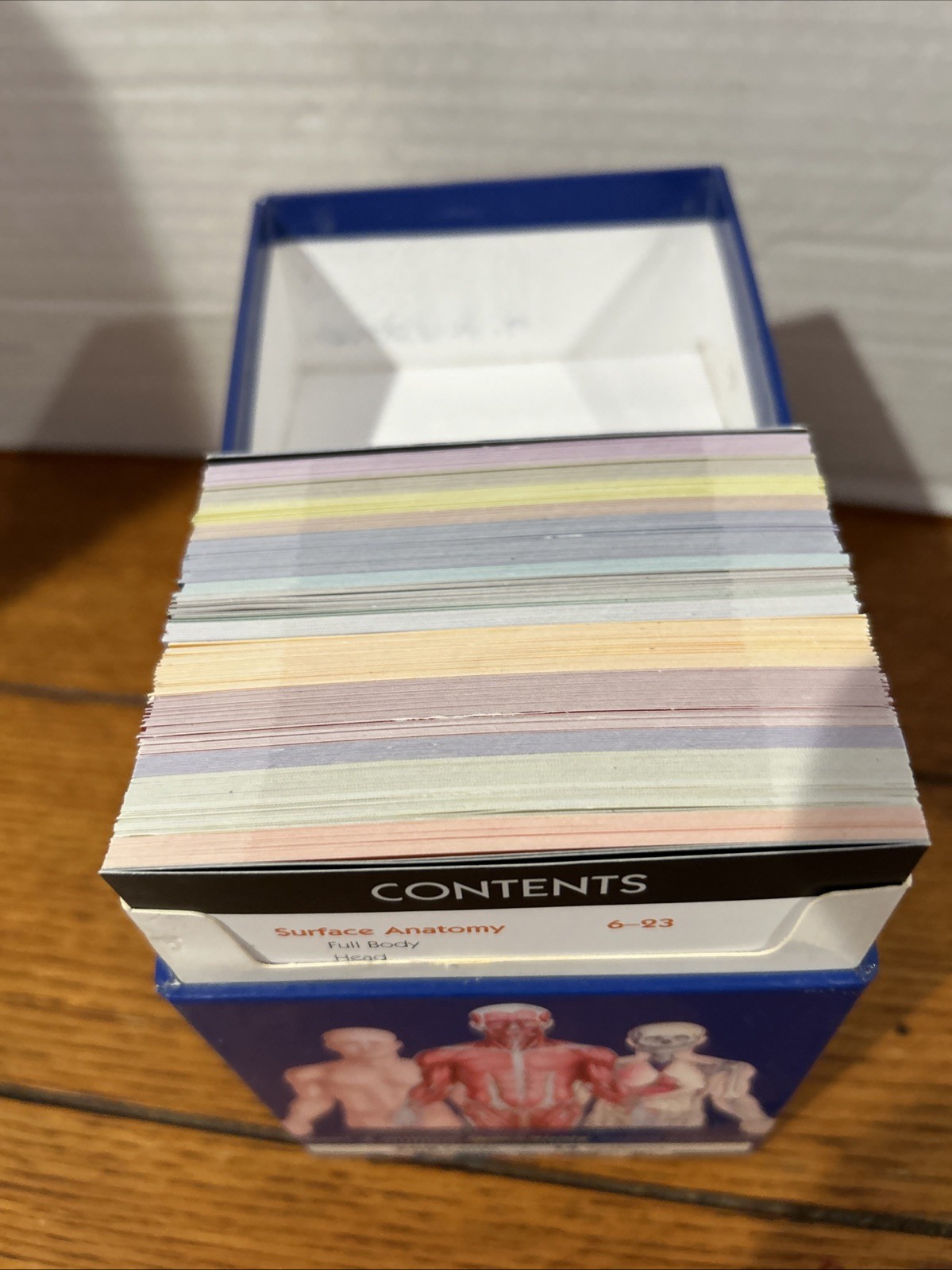 QuickStudy Anatomy Flash Cards Illustrated Laminated Color-coded 300 Cards